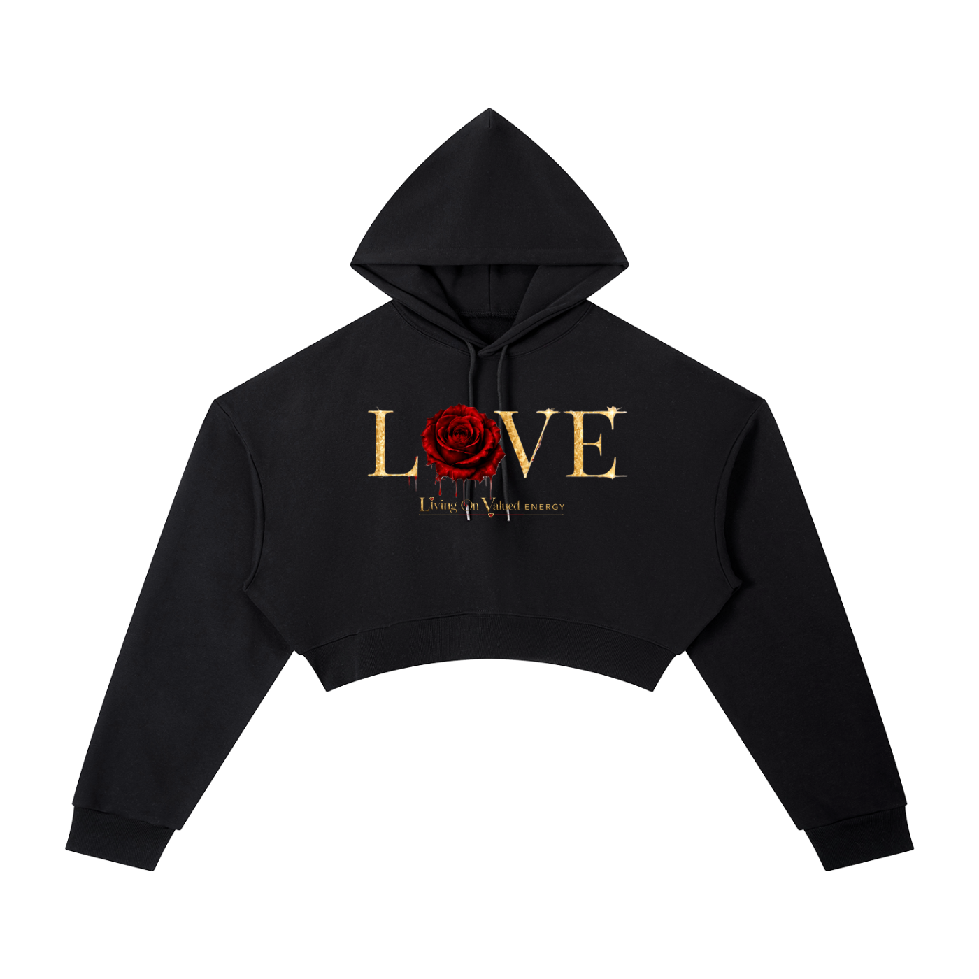 Accessed is Earned Cropped Hoodie