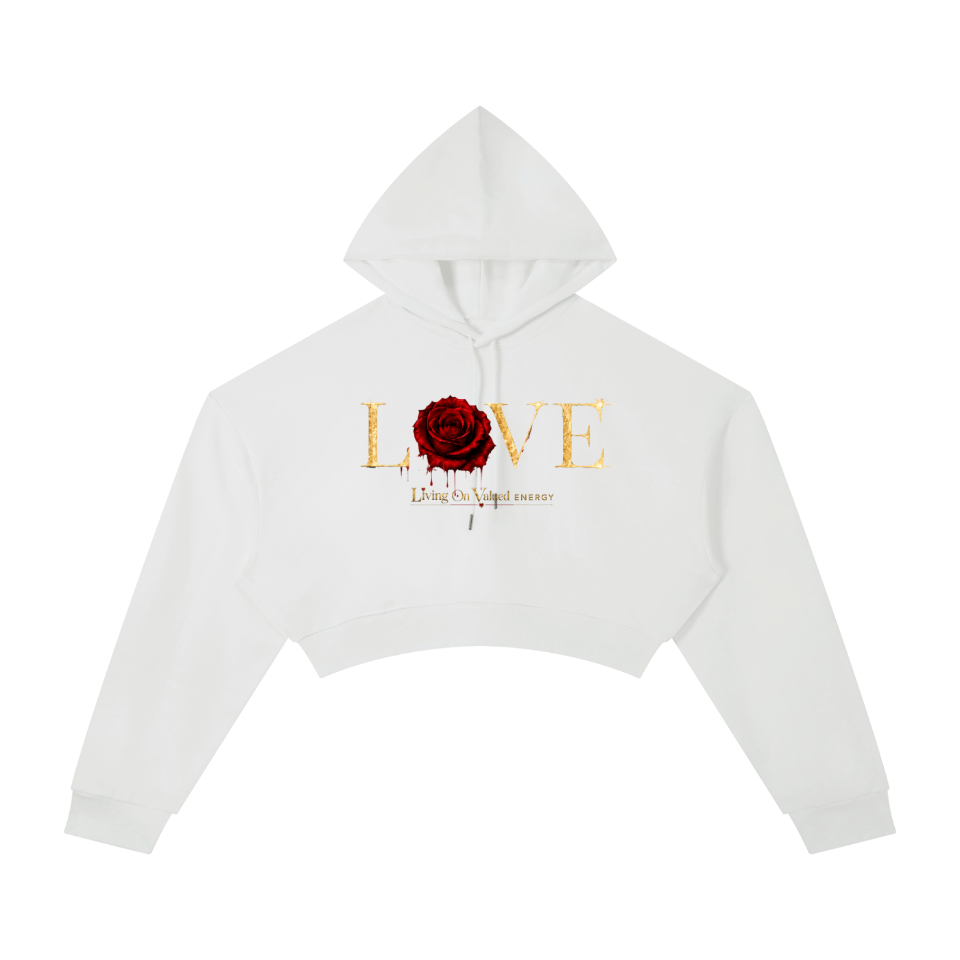 Accessed is Earned Cropped Hoodie