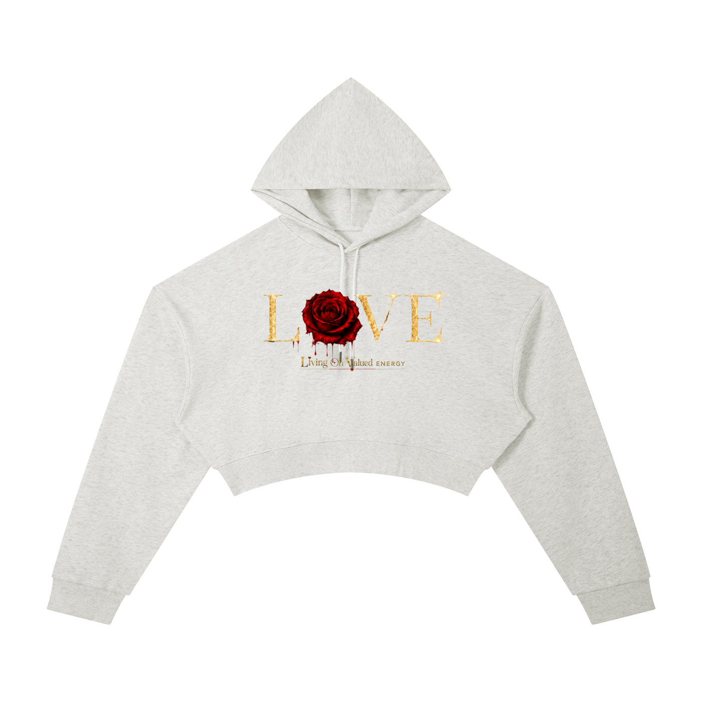 Accessed is Earned Cropped Hoodie