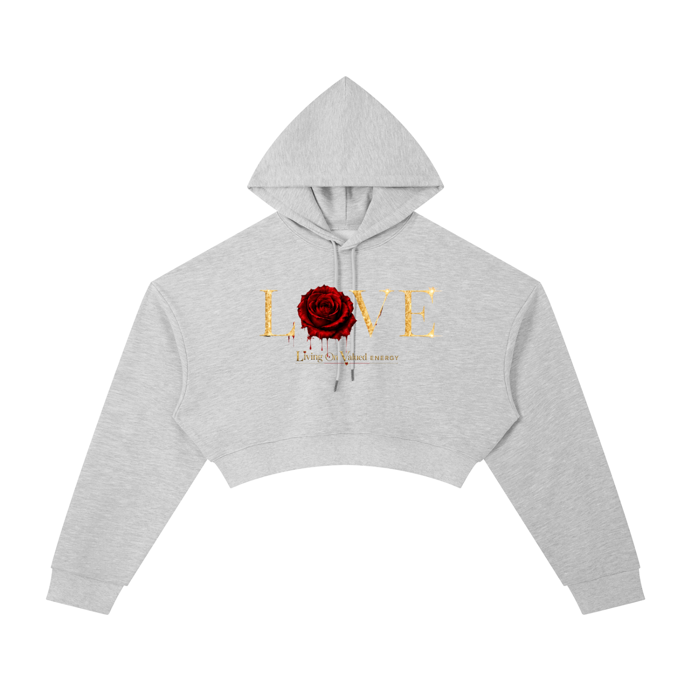 Accessed is Earned Cropped Hoodie
